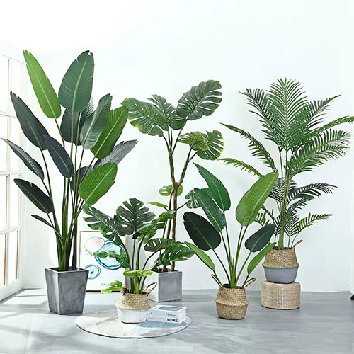 Artificial-Plants-(2)