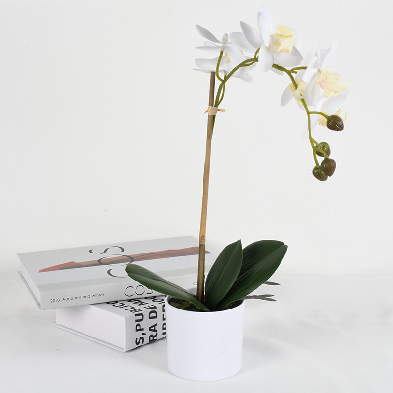 Home Wedding Decor Artificial Potted Flower Phalaenopsis7