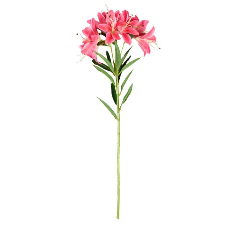 Long Stem Foam Plastic Artificial Single Lily-2