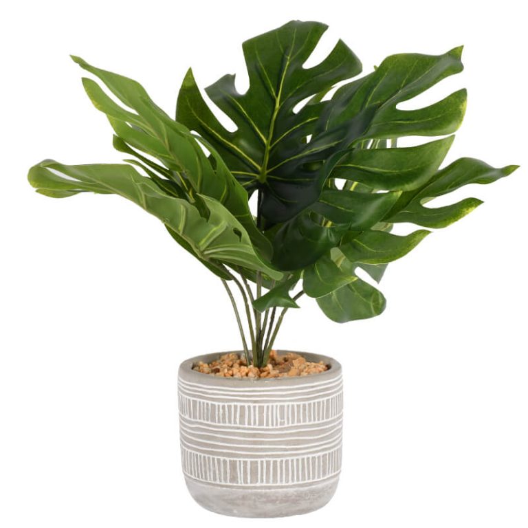 Real Touch Artificial Potted Plants Big Leaf Monstera2